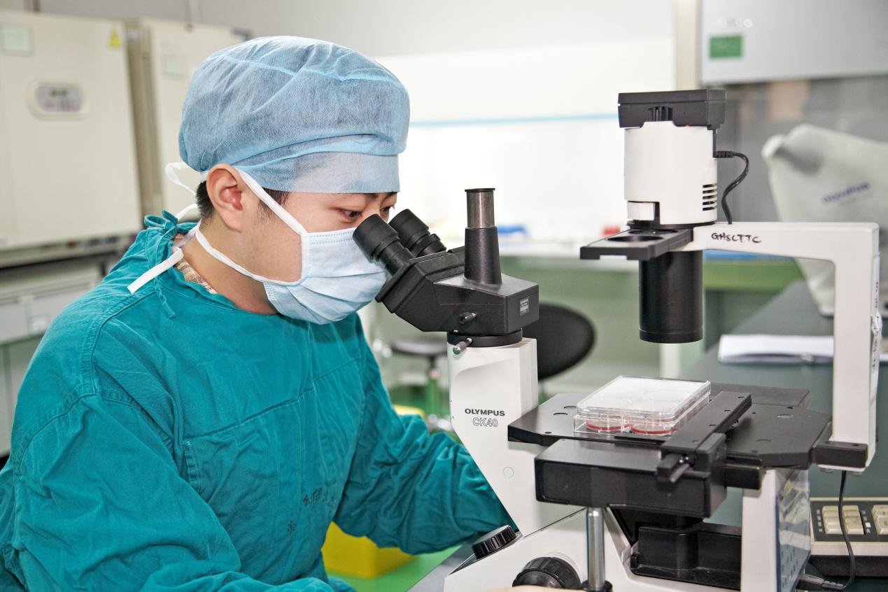 广东省脐血库脐带血造血干细胞培养