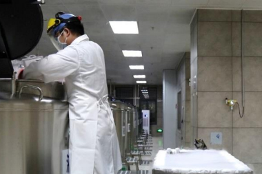 脐带血入罐冻存